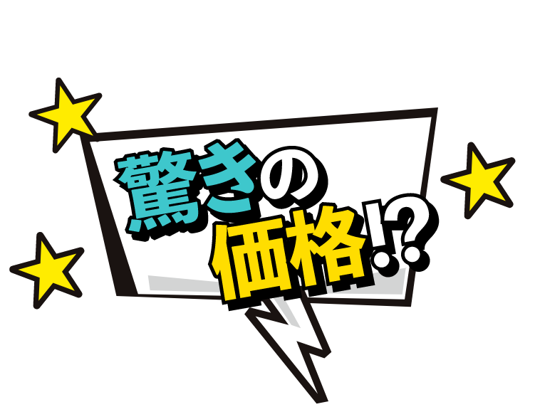 驚きの価格！？　アイコン